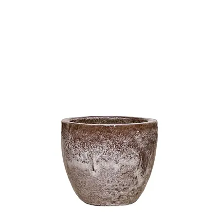 images/uploads/21801/thumb_21278-S Y25cm.webp